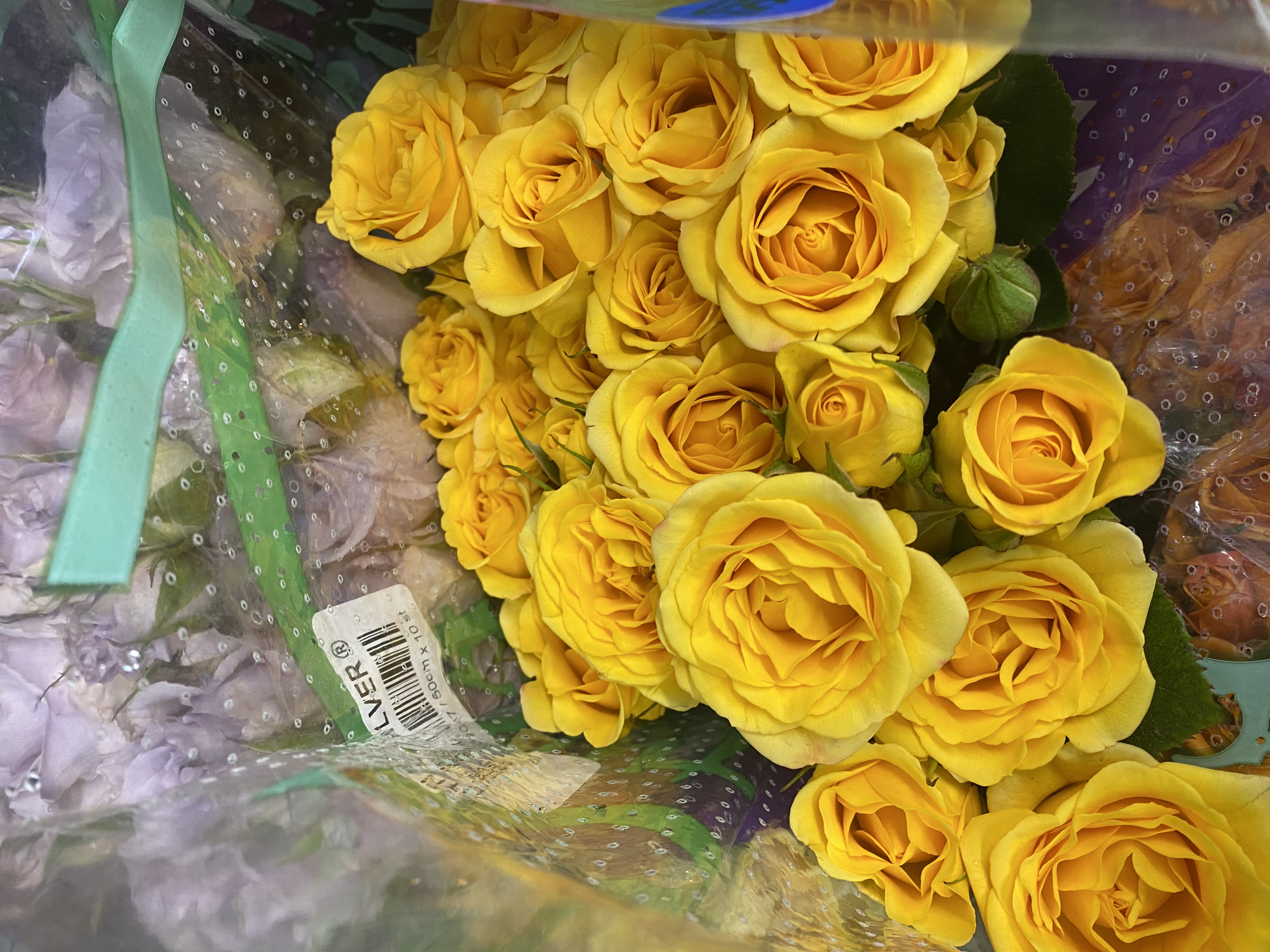 Yellow Spray